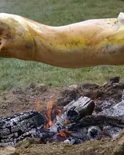 Réflexion sur le kebab : 