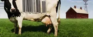 Food Inc, un documentaire qui dérange